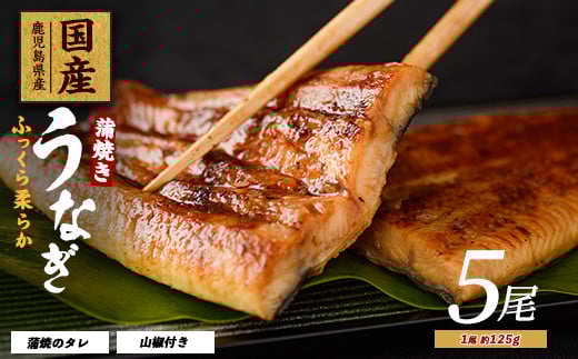 【鹿児島県産】うなぎ蒲焼じっくり焼き約125g×5尾 化粧箱入り(大新/026-1903) 鰻 ウナギ 蒲焼 国産 丑の日 うな重 無頭 ギフト プレゼント 贈り物 贈答 惣菜 総菜 小分け レンジ 簡単 蒲焼き 冷凍 鹿児島県産 2011609 - 鹿児島県指宿市