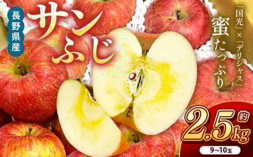 サンふじ　約2.5kg　9～10玉 | りんご 林檎 リンゴ サンふじ 果物 フルーツ ジューシー 信州 南信州 送料無料 ふるさと納税 長野県 飯田市