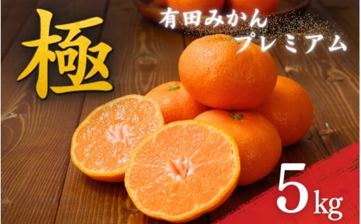 ＼光センサー選別／極 有田みかんプレミアム 約5kg【光センサー 高糖度選別品】2S～Lサイズ 有機質肥料100% ※2025年11月下旬頃～2026年1月上旬頃に順次発送予定 ※北海道・沖縄・離島への配送不可 /　みかん 和歌山県 柑橘 みかん 甘い 蜜柑 フルーツ 果物 くだもの 産地直送 【nuk155E】 