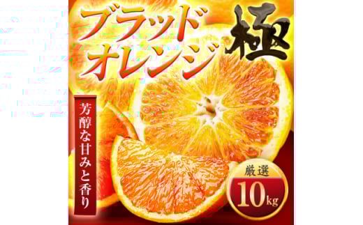 ＜太陽をたっぷり浴びた＞ブラッドオレンジ(タロッコ)＜極＞10kg＜H49-89＞【1621801】