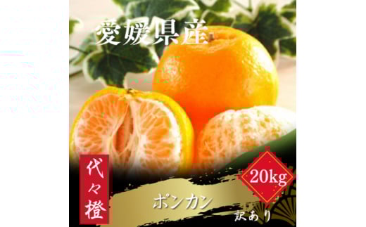 ＜濃厚な甘さ＞＜訳あり＞ポンカン 20kg＜H83-25＞【1557489】 1512035 - 愛媛県八幡浜市