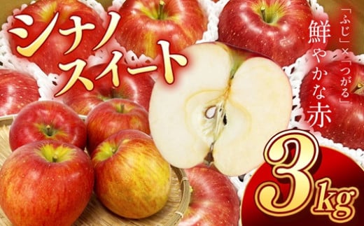 香りも良く食べやすい!長野県産シナノスイート(約3kg)秀品〈2025年10月中旬～10月下旬発送〉| 果物 くだもの フルーツ りんご リンゴ 林檎 長野県 信州 南信州 飯田市 959103 - 長野県飯田市