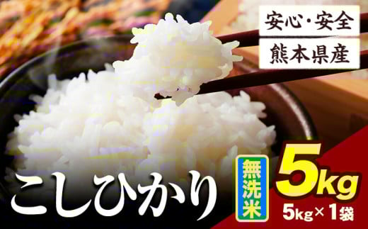 令和6年産 こしひかり 5kg 《7-14日以内に出荷予定(土日祝除く)》令和6年産 熊本県産 ふるさと納税 無洗米 ひの 米 こめ ふるさとのうぜい コシヒカリ コメ お米 おこめ 2144846 - 熊本県産山村