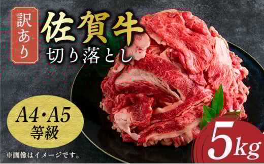 艶さし！【A4～A5】訳あり！ 佐賀牛切り落とし 5kg (500g×10p)／ 佐賀牛 国産牛 大町町 贈り物 ギフト 佐賀県 冷凍 牛肉 牛丼 カレー 肉じゃが