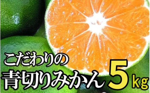 【2025年秋頃発送予約分】こだわりの青切りみかん　約5kg 有機質肥料100%　 サイズ混合　※2025年9月下旬より順次発送予定（お届け日指定不可）/  みかん 和歌山県 柑橘 ミカン 甘い 蜜柑 フルーツ 果物 くだもの 食品 送料無料 産地直送 【nuk150B】 