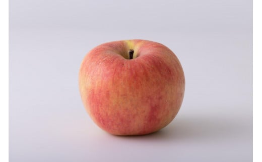 【2025年発送】一度は食べてみたい！   高徳りんご　約2kg（5～12玉）秀