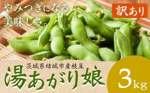 【先行予約・訳あり】 茨城県結城市産枝豆「湯あがり娘」3kg（茶豆味）　有限会社大嶋農園 《7月中旬-7月末頃出荷》 野菜 国産 甘み 香り 濃厚 つまみ ビールのおつまみ ビールのつまみ 【配送不可地域あり】 1172469 - 茨城県結城市