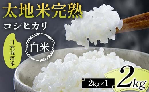 2024年産 自然栽培米 太地米完熟 【こしひかり】 白米 2kg ブランド米 お米 精米 白米 人気 F7X-0343