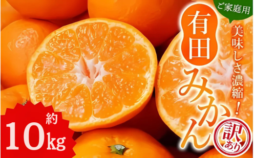【訳あり】農家直送 有田みかん 約10kg ご家庭用 サイズ混合 ※2025年11月中旬より順次発送予定（お届け日指定不可）※北海道・沖縄・離島への配送不可 訳ありみかん みかん ミカン 蜜柑 柑橘 フルーツ 果物 くだもの 温州みかんサイズ混合 訳ありみかん 温州みかん 有機質肥料100% ふるさと納税 柑橘 有田 産地直送【nuk138E】 