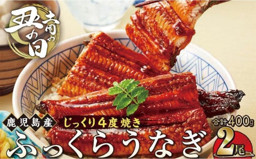 【土用丑の日】うなぎ 蒲焼 200g×2尾【鹿児島産】地下水で育てた絶品鰻 1654980 - 鹿児島県大崎町