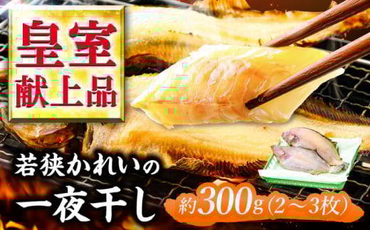 国産 若狭かれいの一夜干し 300g (2～3枚) ヤナギムシカレイ  【配送不可地域：北海道・沖縄・離島】  [BFAE022]  672955 - 福井県小浜市