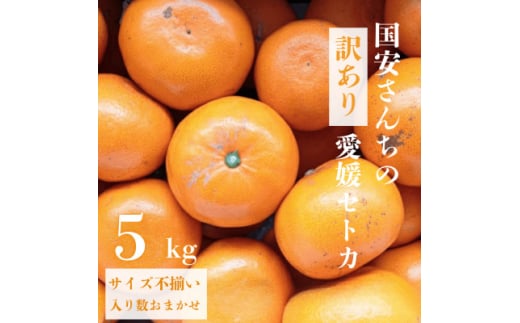 ＜みかんの大トロ＞糖度12.0以上酸1.4以下 糖酸選別品 訳あり 愛媛セトカ5kg＜D20-74＞【1620328】