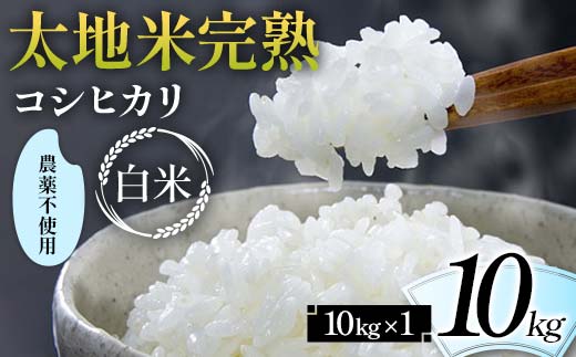 2024年産 農薬不使用 太地米完熟 【こしひかり】 白米 10kg ブランド米 お米 精米 白米 人気 F7X-0330 2114625 - 福島県須賀川市