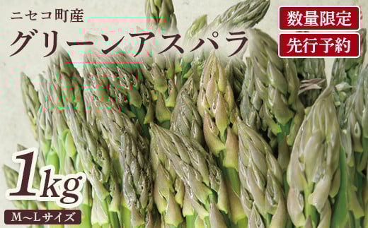 【数量限定】【北海道ニセコ町産】グリーンアスパラМ/L混みサイズ <2025年予約・5月下旬より出荷予定>【0202701】 817184 - 北海道ニセコ町