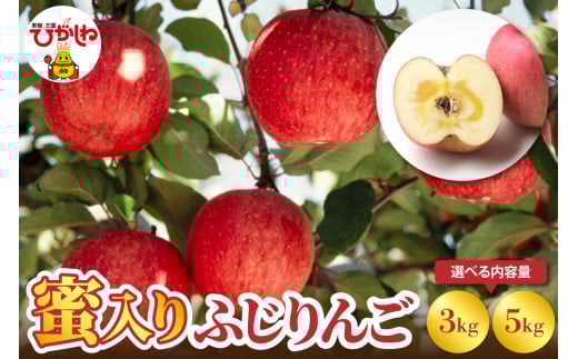 [選べる内容量] 蜜入りふじりんご [3kg・5kg] hi098-001-o
