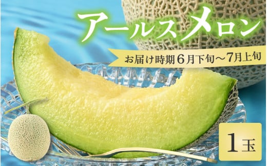 【先行予約】【青肉】アールスメロン 1玉（約1.6kg以上）青肉品種 高級メロン！ ／ マスクメロン 大玉 果物 フルーツ 夏 ギフト 農家直送 ※2025年6月下旬以降順次発送予定 [aw065-a001] 522335 - 福井県あわら市