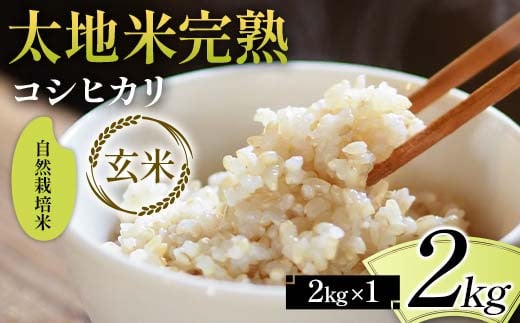 2024年産 自然栽培米 太地米完熟 【こしひかり】 玄米 2kg ブランド米 お米 人気 F7X-0347