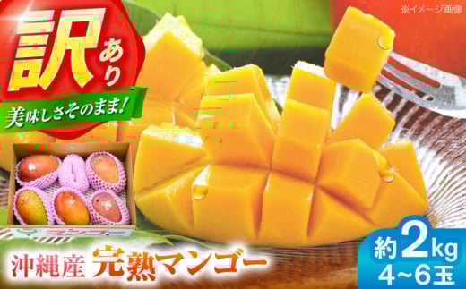 訳あり 完熟マンゴー 約2kg (4〜6玉入) マンゴー 沖縄 果物 フルーツ ギフト 沖縄市 / ちゃんぷる～市場 [BCAA002] 2128562 - 沖縄県沖縄市