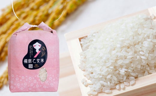 備前乙女米 白米 2kg×1袋【2025年10月下旬～2026年9月下旬発送予定】 ／ お米 米 おこめ こめ コメ ご飯 精米 ライス モチモチ 石原果樹園 岡山県 美咲町 2108451 - 岡山県美咲町