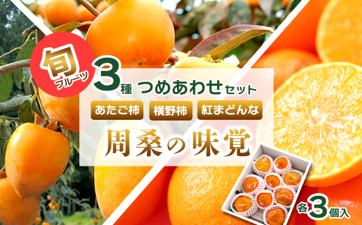 【先行予約・12月発送】 旬のフルーツ3種セット 紅まどんな あたご柿 横野柿 「周桑の味覚」 各3個入り　食べ比べ 詰め合わせ セット ギフト