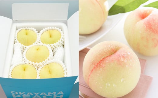 【ご家庭用】 岡山白桃 晩生 4～5玉 計約1.2kg 【2025年8月下旬発送予定】 ／ 白桃 桃 もも モモ