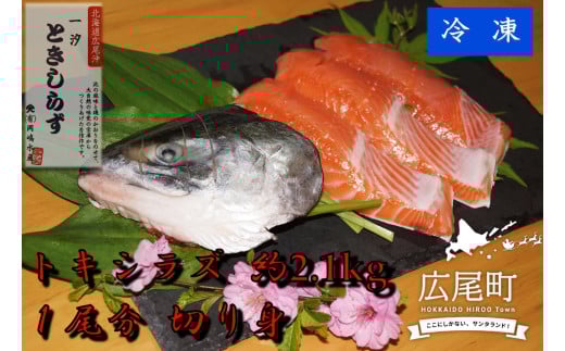 トキシラズ 約2.1kg 1尾分 切り身【鮭 時鮭 ときしらず トキシラズ ふるさと納税 北海道 海産物 魚】(C0033) 2106560 - 北海道広尾町