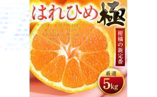 ＜太陽をたっぷり浴びた＞はれひめ＜極＞5kg＜C49-82＞【1621794】