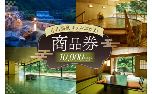商品券 小川温泉 ホテルおがわ 1000円 10枚 計 10000円 [小川温泉開発 富山県 朝日町 34310495] 1万円 入浴券 宿泊 食事 旅行 温泉