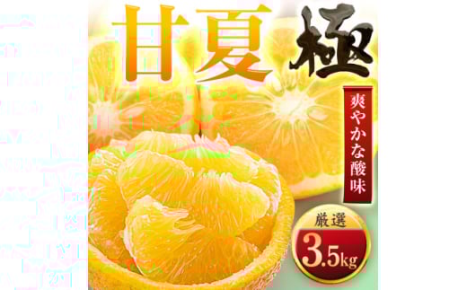 ＜太陽をたっぷり浴びた＞甘夏＜極＞3.5kg＜C49-84＞【1621796】