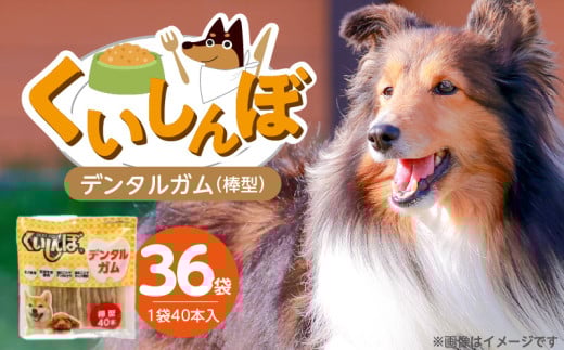 くいしんぼ デンタルガム 棒型 40本×36袋_くいしんぼ デンタルガム 棒型 40本×36袋 ハードタイプ 歯垢 落とす 歯ぐき マッサージ ストレス解消 歯磨き サポート 多頭飼育 ブリーダー おすすめ 犬 おやつ 福岡県 久留米市 送料無料_Pf052-01 2114055 - 福岡県久留米市