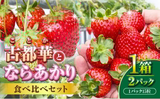 【2026年1月上旬～3月下旬発送】古都華とならあかりの食べ比べセット　1パック×2(1パック15粒) 化粧箱 国産 国産苺 ストロベリー 果物 果実的野菜 フルーツ デザート おやつ 糖度 濃厚 香り 鮮やか 甘い ビタミン 奈良県産 お取り寄せ 贈答用 送料無料 2115540 - 奈良県生駒市