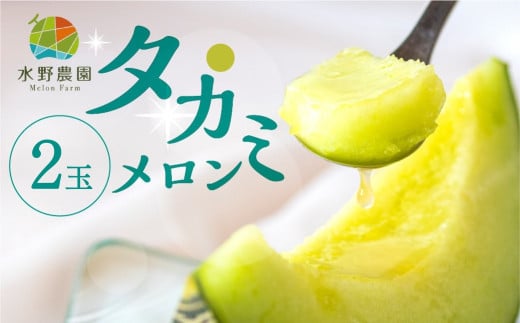 【2玉】先行予約 タカミメロン 2玉 水野農園