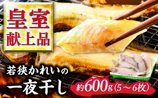 国産 若狭かれい 一夜干し 600g (5〜6枚) ヤナギムシカレイ | カレイ かれい 鰈 干物 一夜干し 焼き魚 魚介 冷凍 小分け お手軽 時短 時短料理 魚貝類 タイ 鯛 加工品 おかず 朝食 夕食 メイン 魚料理 おつまみ 肴 一品料理 1尾 600g 5 6 [配送不可地域:北海道・沖縄・離島] [BFAE023]
