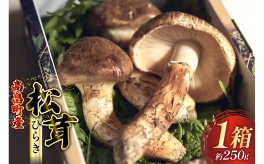 【期間限定発送】 松茸 ひらき 詰め合わせ 1箱 約250g (2〜4本入) [フレッシュマートたねや 山形県 高畠町 tk06ays880000] きのこ キノコ まつたけ 国産 天然 山の幸 ご飯 土瓶蒸し 松茸ご飯