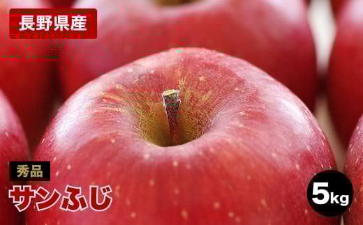 太陽の光をたっぷりと浴びた 長野県産りんご(サンふじ)約5kg 秀品＜2025年11月下旬～12月中旬発送＞ | 果物 くだもの フルーツ りんご リンゴ 林檎 長野県 信州 南信州 飯田市 959092 - 長野県飯田市