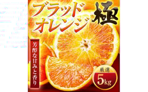 ＜太陽をたっぷり浴びた＞ブラッドオレンジ(タロッコ)＜極＞5kg＜E49-88＞【1621800】