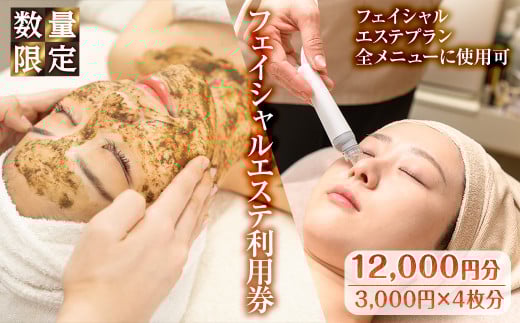 ＜数量限定＞フェイシャルエステ利用券(12,000円分(3,000円×4枚分)/フェイシャルエステプラン全メニューに使用可)【m66-12】【melty minoh】 2029892 - 大阪府箕面市