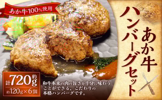 あか牛100％ハンバーグセット（あか牛ハンバーグ約120g×6個） 合計720g あか牛 ハンバーグ 牛肉 お肉 肉 褐牛 褐毛和種 和牛 国産牛 セット 熊本県 上天草市 冷凍 2050317 - 熊本県上天草市