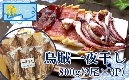 【父の日ギフト】絶品！磯武の国産肉厚烏賊 一夜干し800g ( 2尾×3P )_2556R