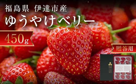 ＜2026年発送＞【贈答用】極上いちご！福島オリジナル品種 ゆうやけベリー 450g F20C-958 1428537 - 福島県伊達市
