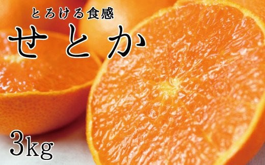 とろける食感！ジューシー柑橘　せとか　約3kg【予約】※2026年2月下旬頃〜2026年3月下旬頃発送(お届け日指定不可)【uot506A】