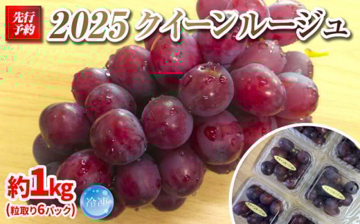 【先行予約】2025　P　クイーンルージュ®　冷凍粒採り6パック 　約1キロ　長野県産【10月中旬頃～順次発送予定】国際特許有機肥料栽培