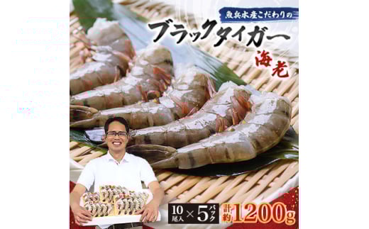 ＜毎月定期便＞魚兵水産こだわりのブラックタイガー海老　 10尾5パック(計1200g程度)全3回【4067304】