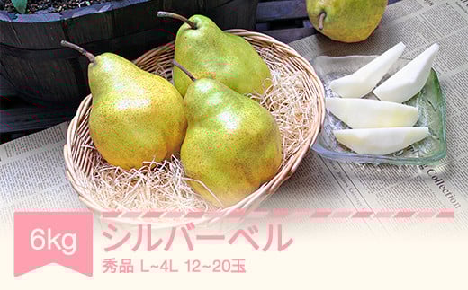 【先行予約】シルバーベル L~4L 秀品 6kg(3kg×2箱) 洋梨 令和7年産 2025年産 果物 mm-sbsxx6 2106926 - 山形県村山市