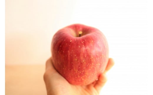 【2025年発送】太陽燦々☆サンふじりんご　約3kg（7～13玉）秀