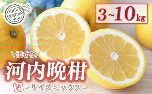訳あり 河内晩柑 3kg 6kg 7kg 10kgサイズミックス 5000円 10000円 みかん かわちばんかん ミカン mikan わけあり 愛南ゴールド 家庭用 あいなん ゴールド 美生柑 文旦 派生 産地直送 国産 農家直送 減農薬 期間限定 数量限定 特産品 人気 限定 甘い おいしい 小玉 含む フルーツ 果物 柑橘 蜜柑 少額 お試し用 規格外 宮下明良 愛南町 愛媛県