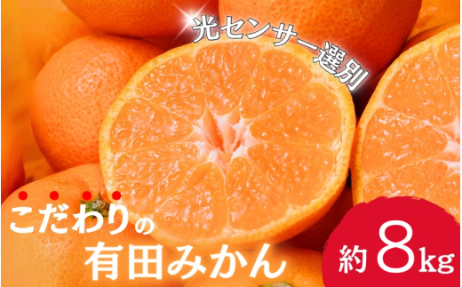 早期先行予約！  こだわりの有田みかん 約8kg＋250g(傷み補償分) 【ご家庭用】【12月発送】 光センサー選別品 農家直送品 ※北海道・沖縄・離島配送不可 / みかん 有田みかん 温州みかん 柑橘 果物 くだもの フルーツ 有田 和歌山 和歌山県産 産地直送 【nuk100-12】 