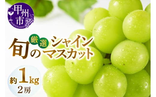 甲州市産厳選旬のシャインマスカット 約1kg 2房入り【2025年発送】（MG）B-007 【シャインマスカット 葡萄 ぶどう ブドウ 令和7年発送 期間限定 山梨県産 甲州市 フルーツ 果物】