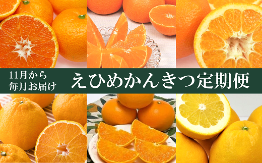 えひめかんきつ定期便(全6回)柑橘 紅まどんな 日の丸みかん 伊予柑 デコポン せとか 河内晩柑 |