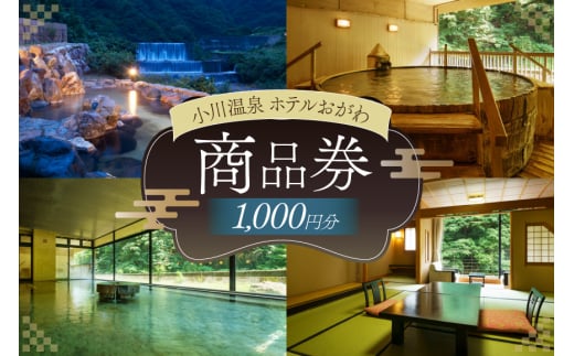 商品券 小川温泉 ホテルおがわ 1000円 1枚 [小川温泉開発 富山県 朝日町 34310497] 入浴券 宿泊 食事 旅行 温泉